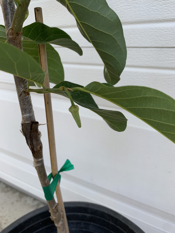 1375A5F7-A86E-42B2-9D07-B653BD604C75