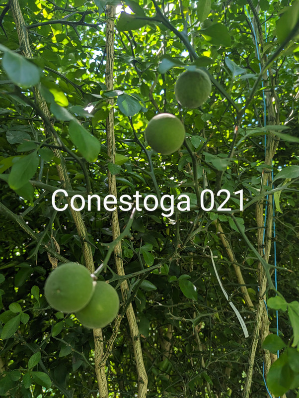 PXL_20230817_184115151~2