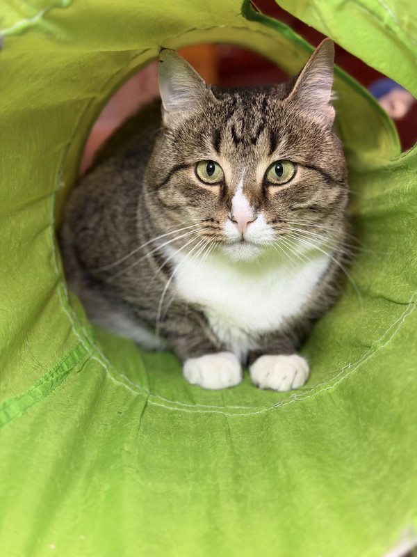 IMG 20251116 224739 290