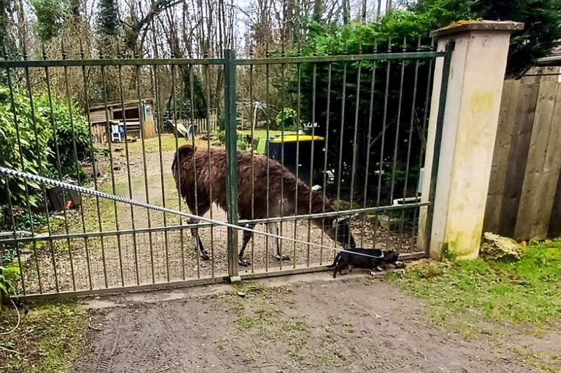 [Image: IMG-20240217-WA0000.jpg]