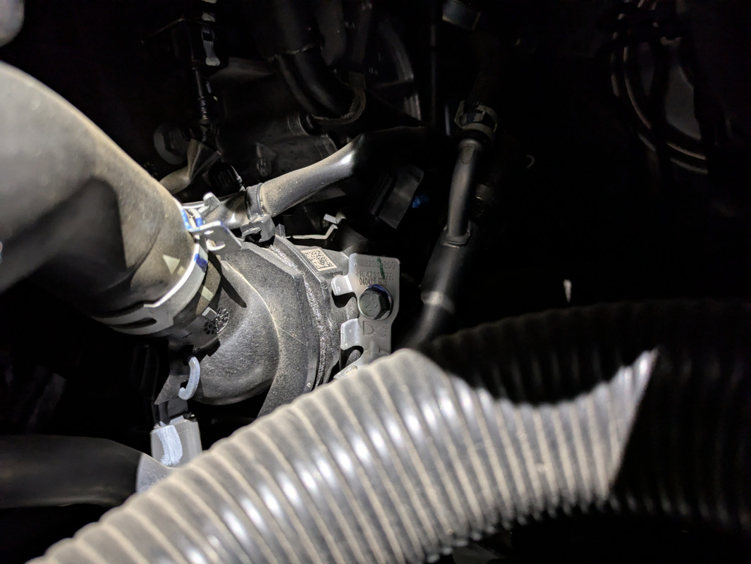 PXL_20241231_110302516