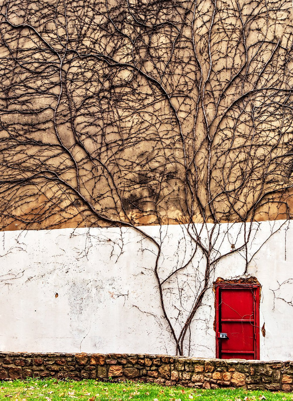 277777226_ фейсбук