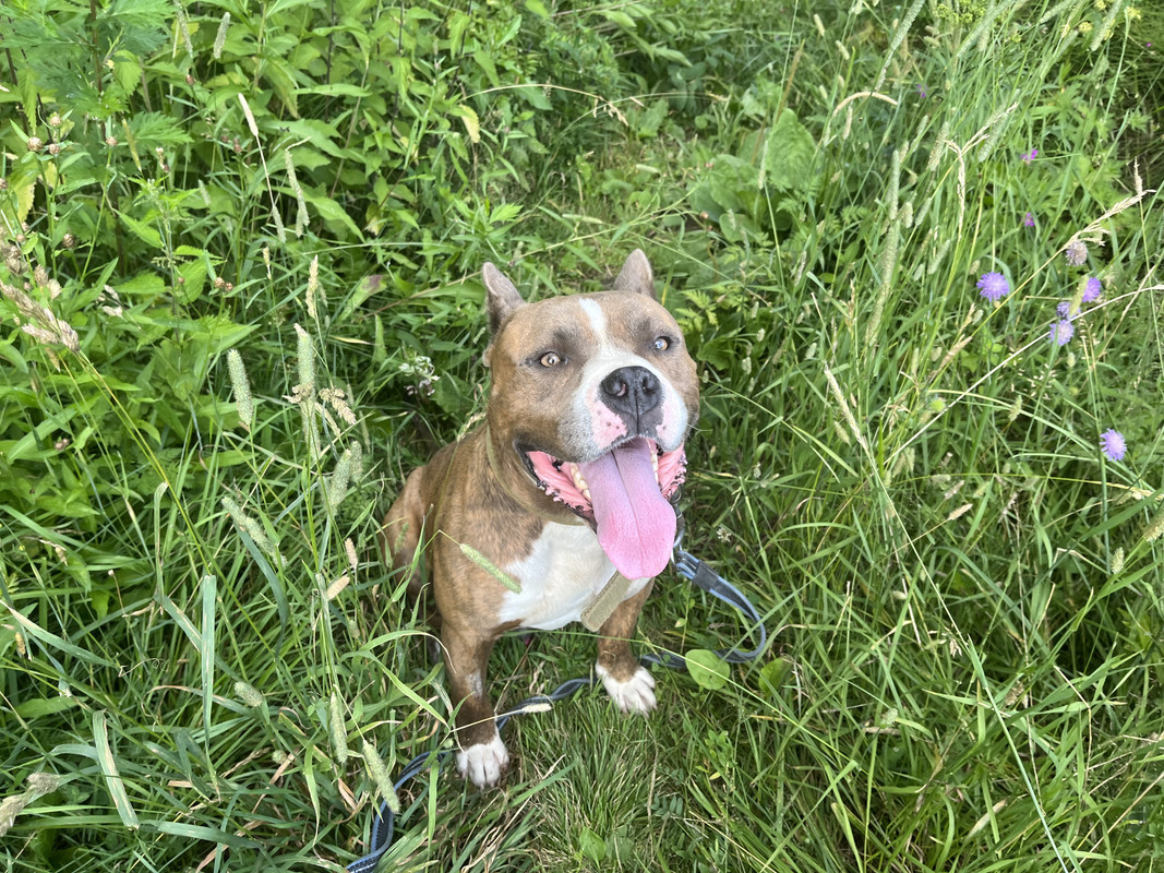 5BEB17DC-2C04-4AC1-9130-F2C6B457EDBB