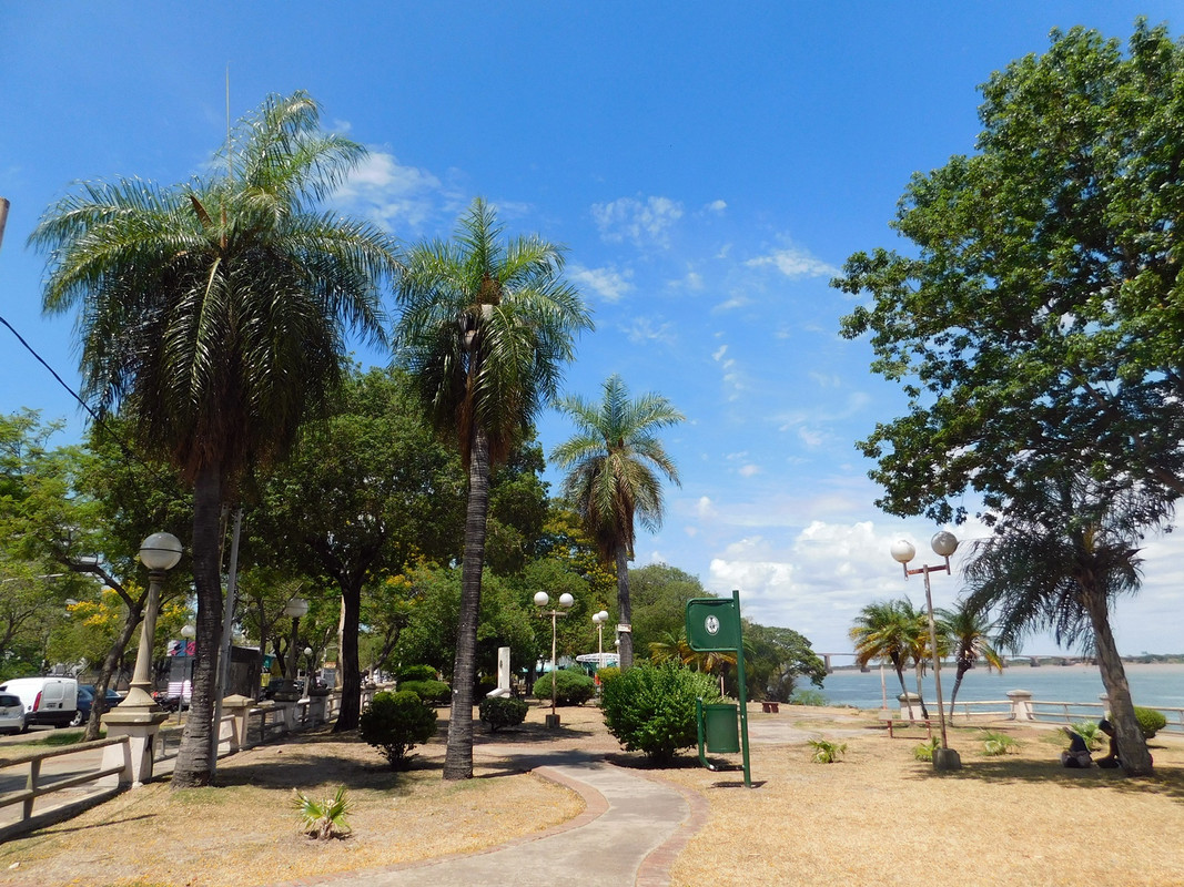 DSCN6595.jpg