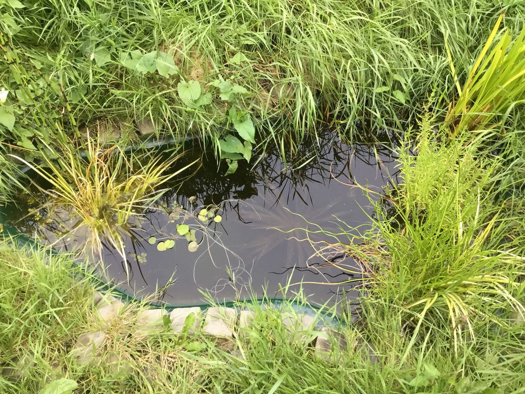 EDF3432C-FA29-485E-A2E5-87A9DAA55DBE