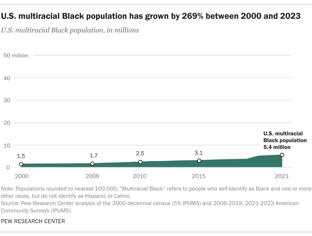 Many African Americans Are in the United States
