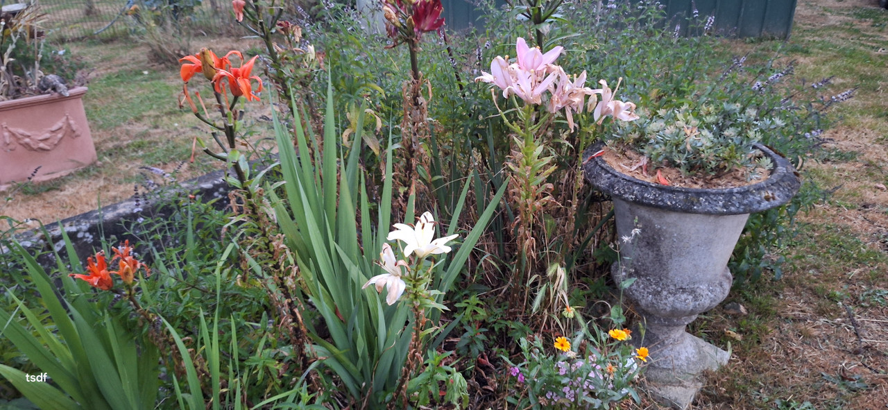 [Image: 20250625-220538.jpg]