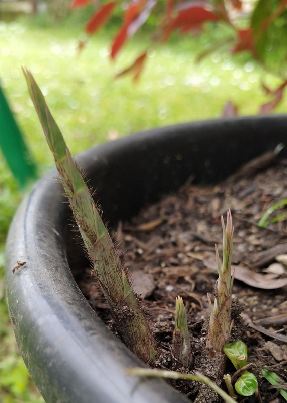 IMG_20230426_165333_1Rweb-asa-3