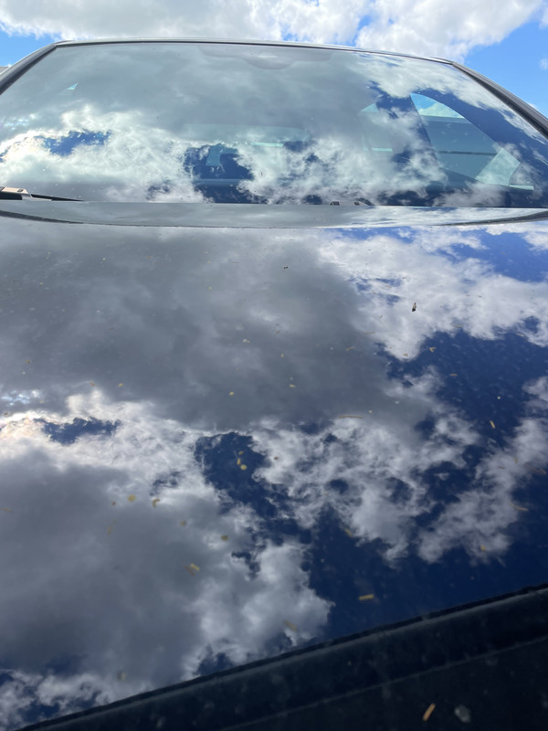 3FD51AB8-636E-48FB-847A-9A59836562EC