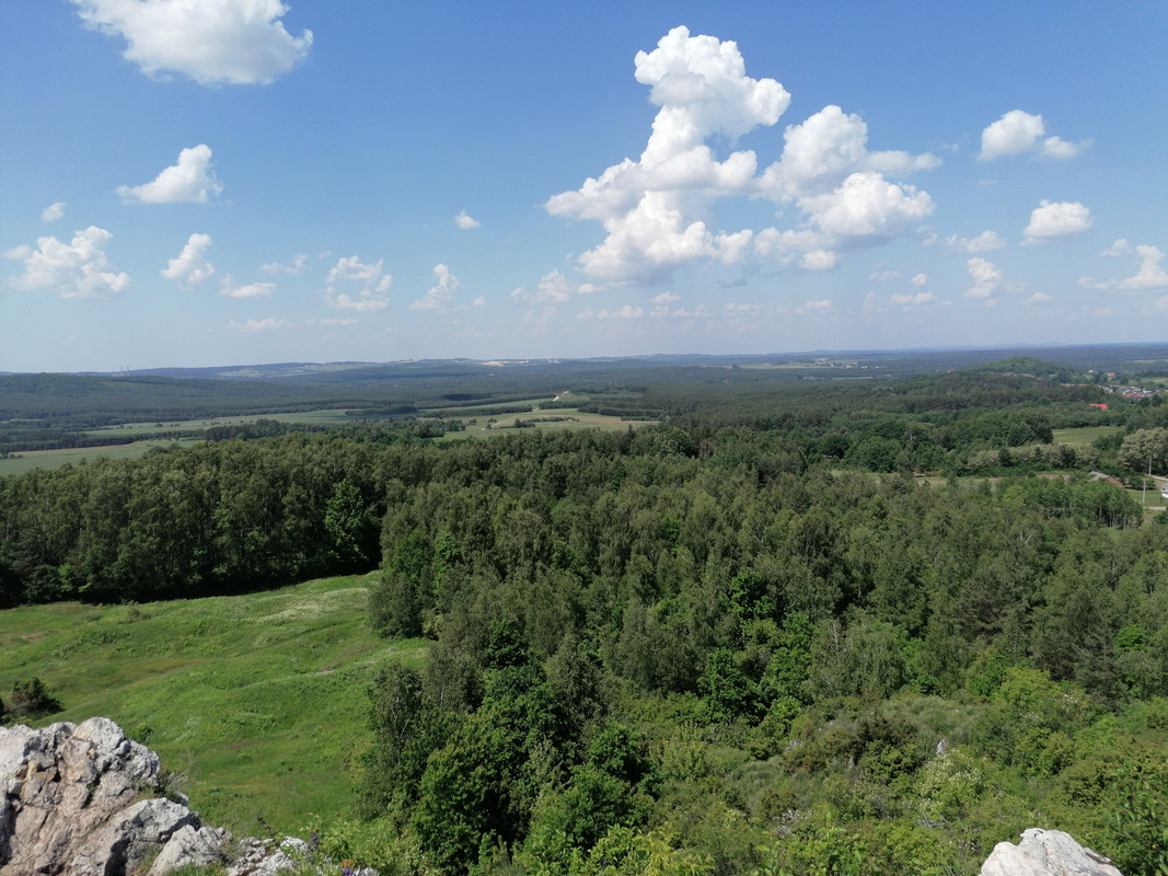 11.23 - IMG_20200613_114440 (Czesio1)