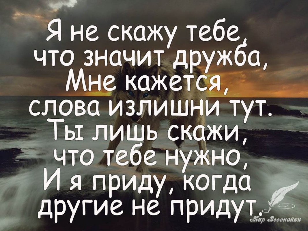 дружбаа