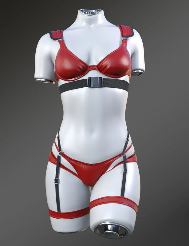 X-Fashion Stunning Leather Outfit for Genesis 9