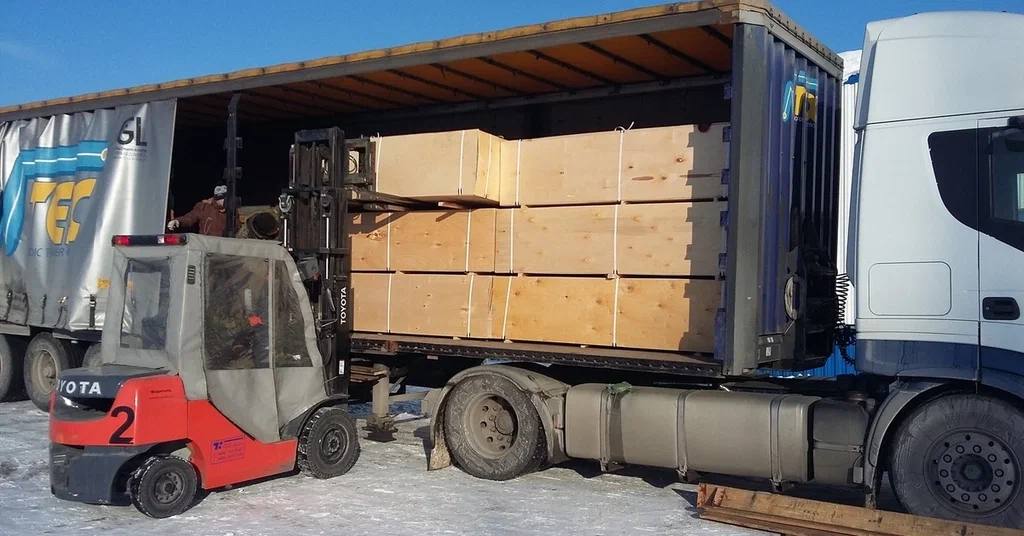 photo 2026 01 15 14 46 46