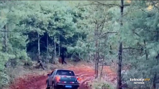 Telecity processo prob (9)