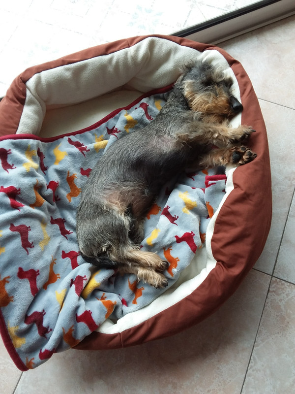 [Image: 20200330-141558-copy-1200x1600.jpg]