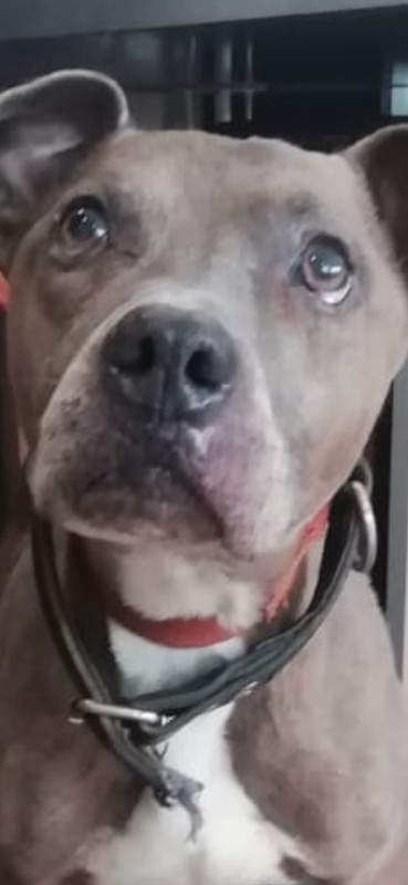 56EA30B1-AAFC-4423-89FE-9A7C54CD6A19