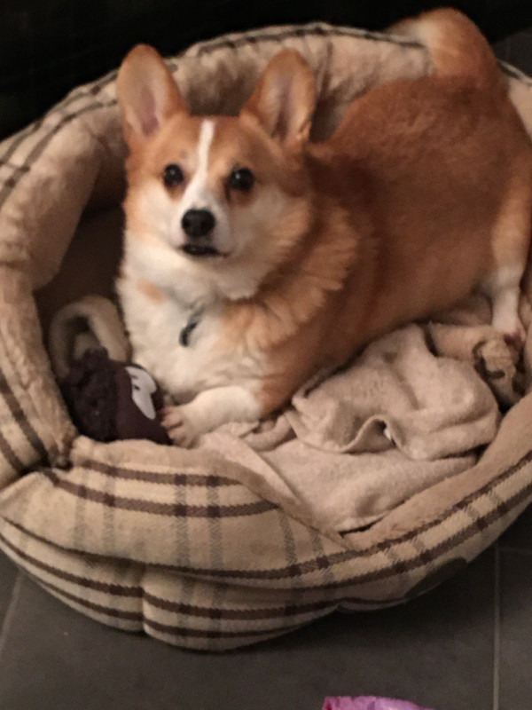 [Image: 399568-ED-9234-4-D6-E-A577-9-AA855-A77670.jpg]