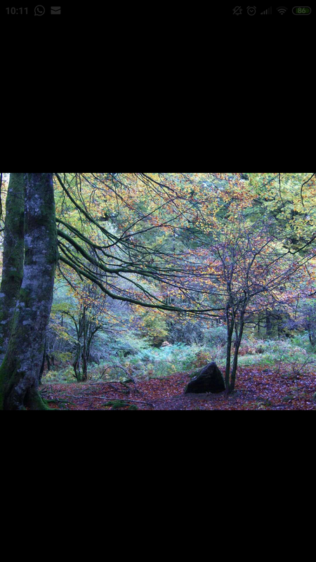 Screenshot_2020-10-20-10-11-47-981_com.facebook.katana