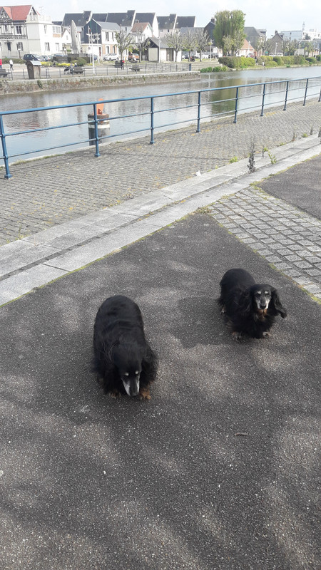 [Image: 20210502-165641.jpg]