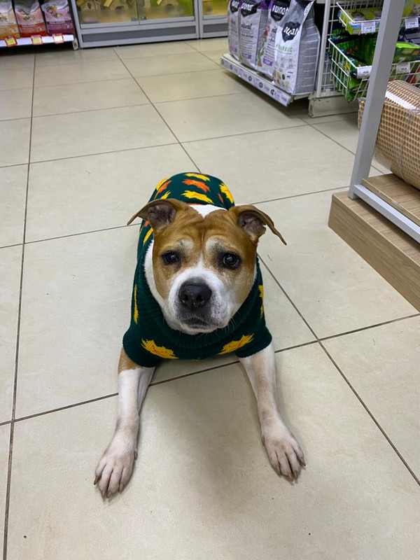 67937331-9ADD-4FDC-BFB3-B1027E870F8D