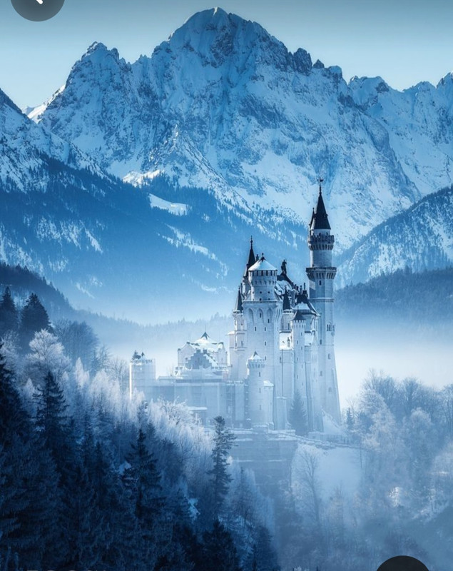 Screenshot_20240126_153649_Pinterest