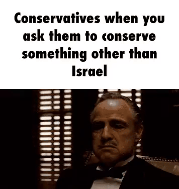 Conservatives-When-You-Ask-Them-To-Conserve-Something-Other-Than-Israel.gif