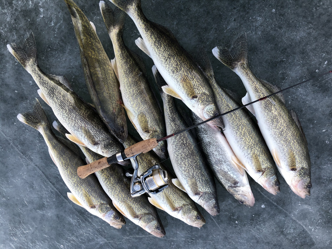 E5F32F3C-9226-44F2-AE27-B98B6A95D9D1