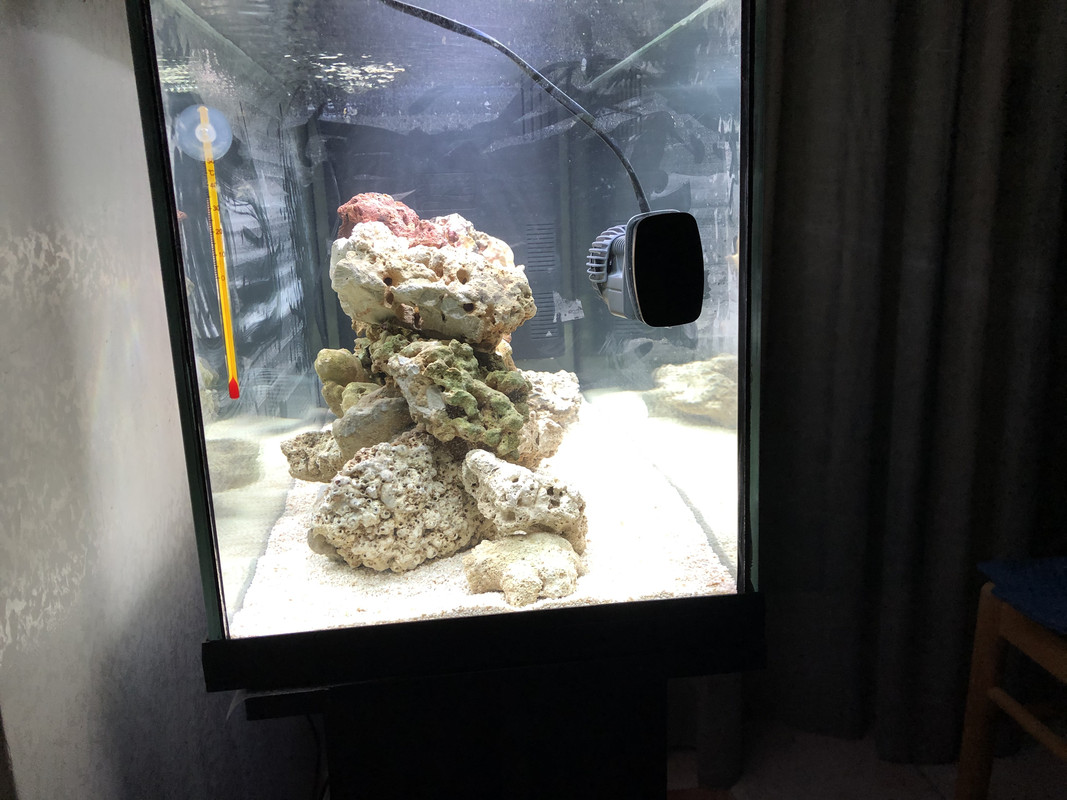 E24D1352-AEBB-4FEE-8930-96B9B35A31FA