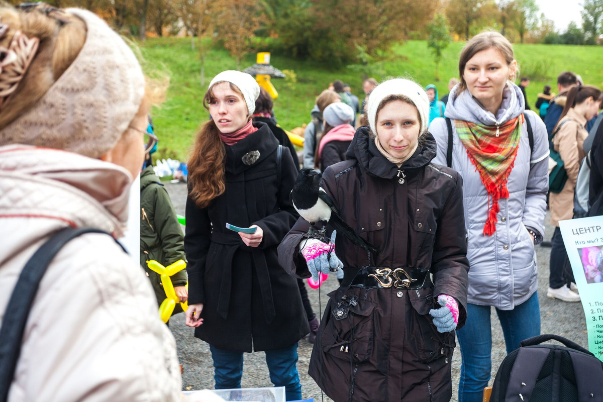 07C661B6-F029-4463-8CC2-911AB2ED0B2B