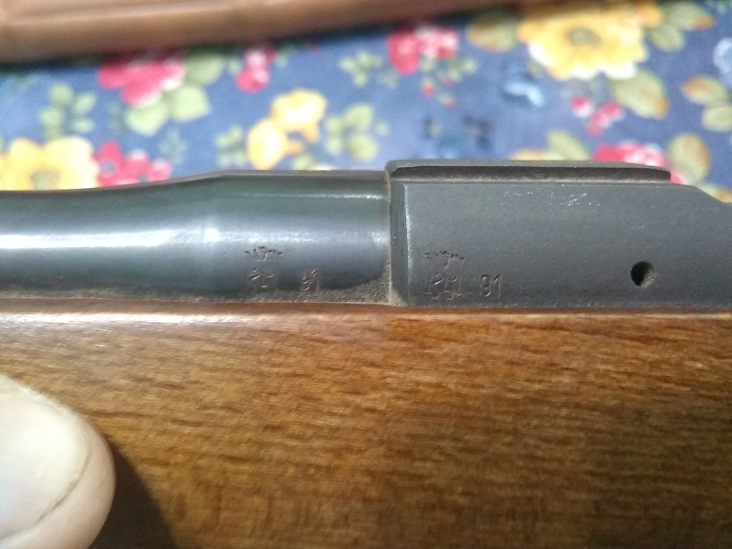 IMG_20190730_123152670