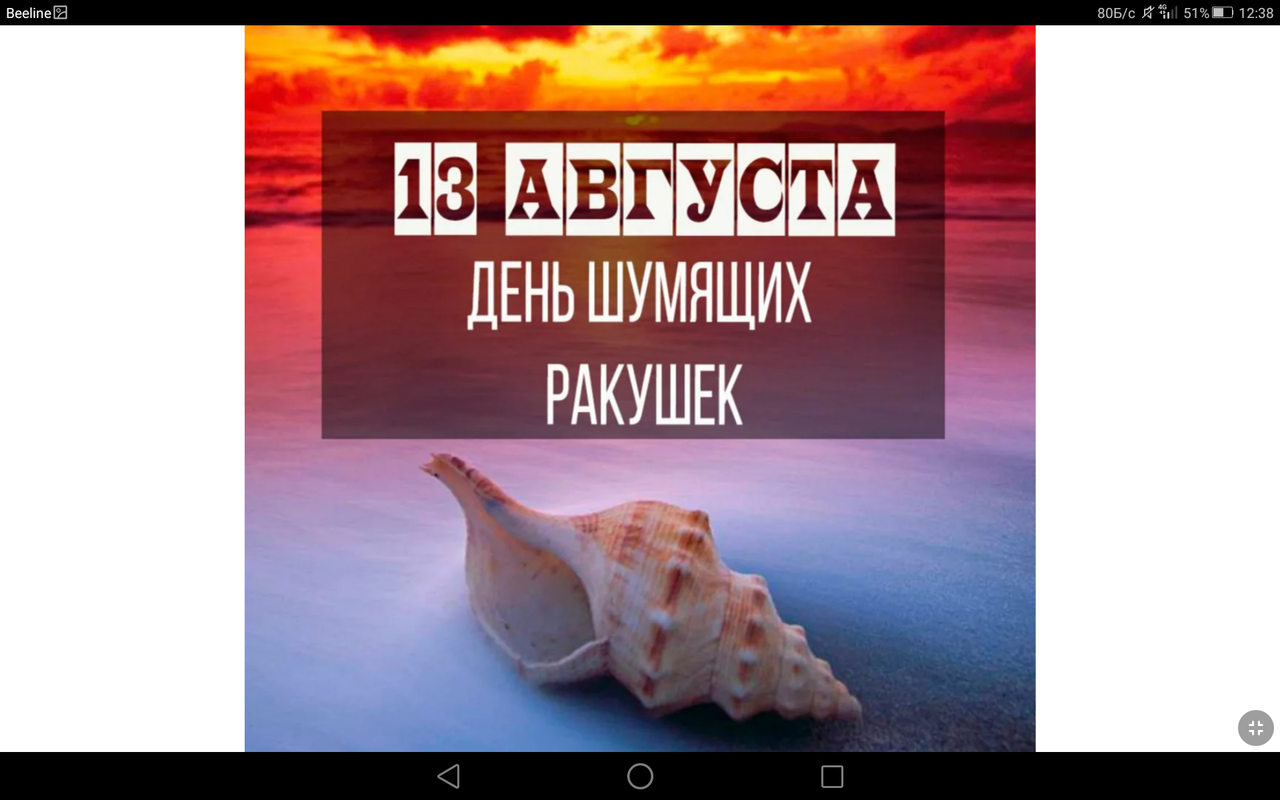 Screenshot_2023-08-13-12-38-11
