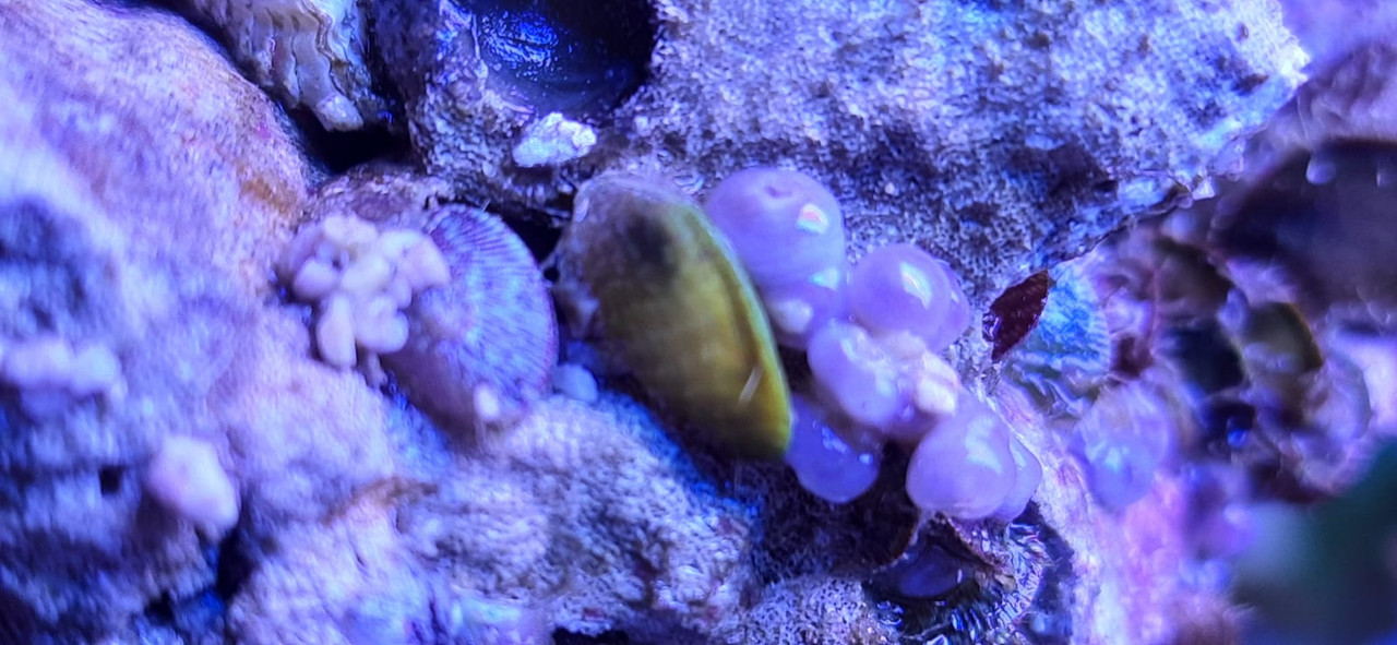 WhatsApp Image 2022-05-03 at 19.36.22 (1)