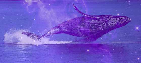 Space-Whales-FTW.png