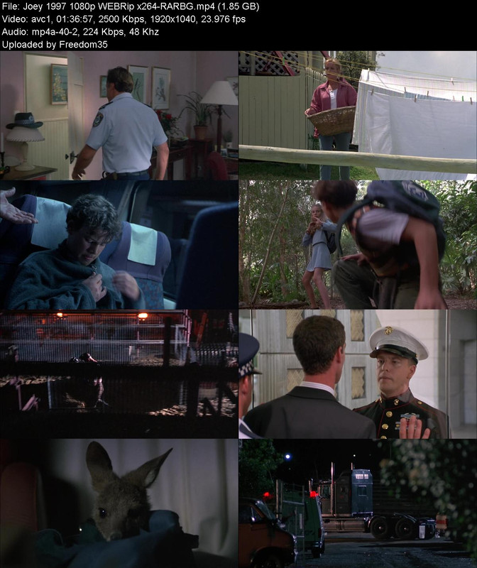 Joey-1997-1080p-WEBRip-x264-RARBG.jpg