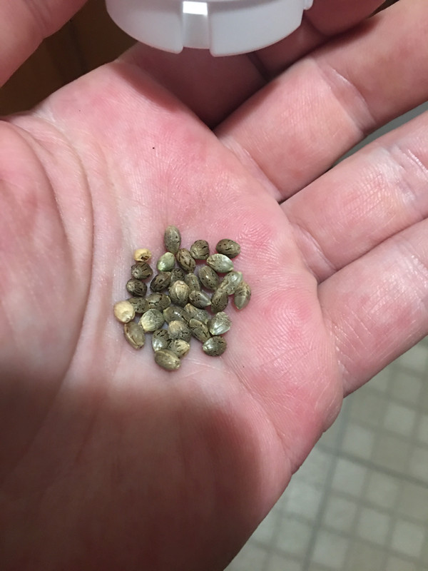 3B73B741-FF29-4075-AD30-B1DC0E714838