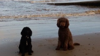 94AA9691-8FCB-4E08-9AA1-94B0503789EB