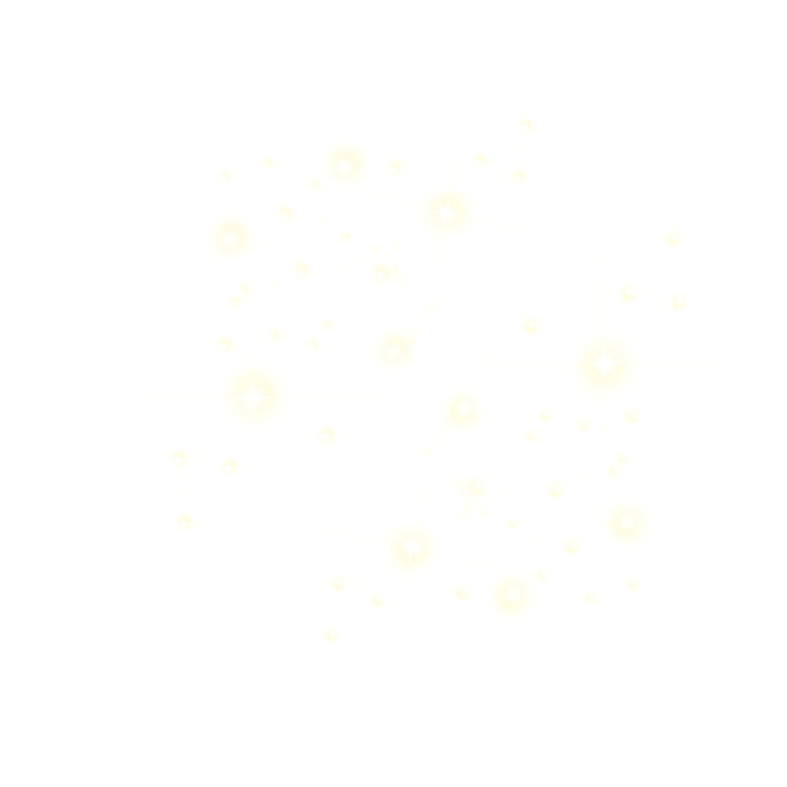 Christmasswishoffairydnlights2