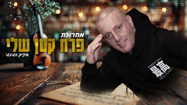 תמונה