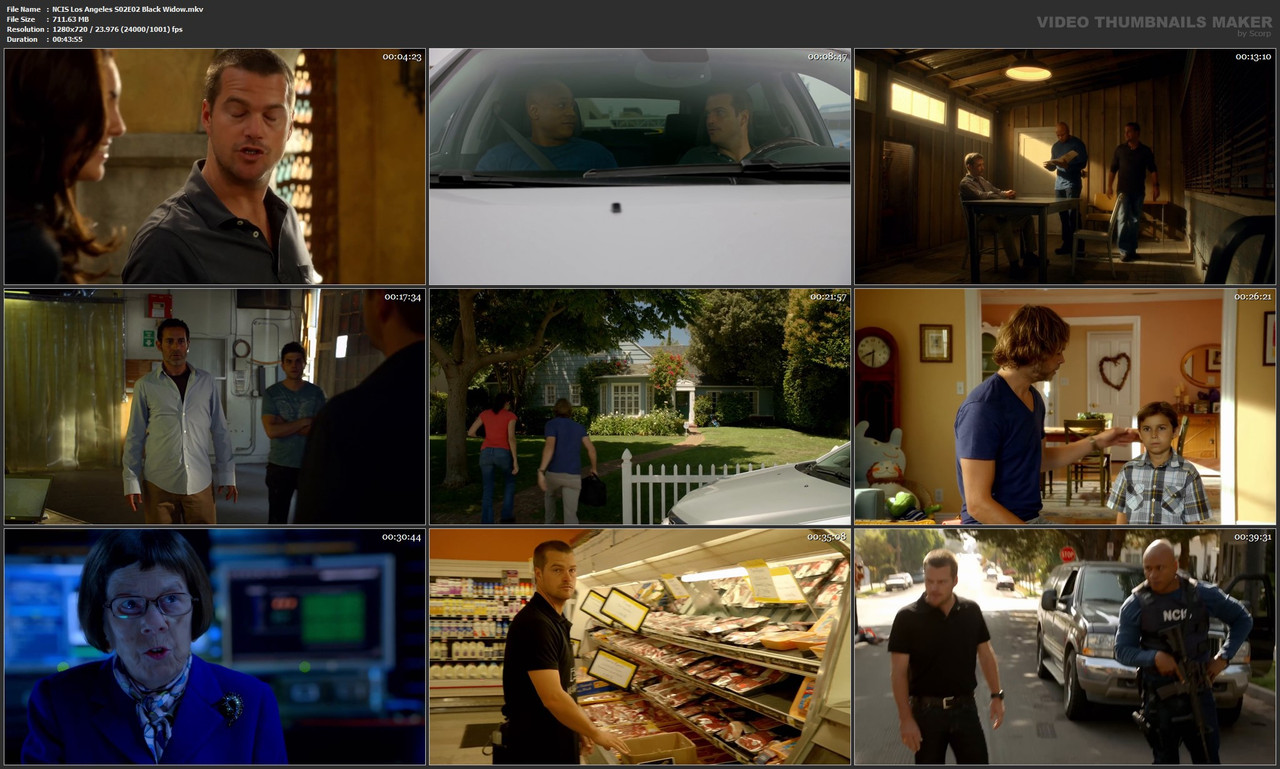 NCIS Los Angeles S02E02 Black Widow.mkv