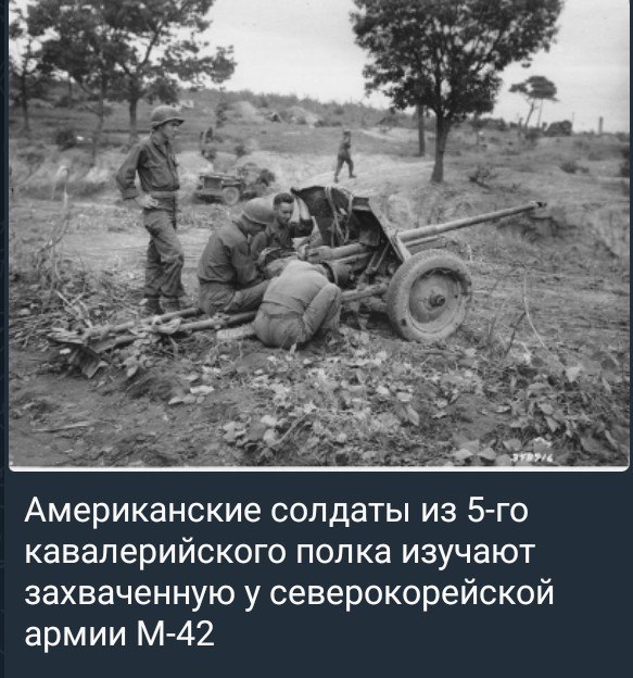 photo 2026 07 10 01 44 17
