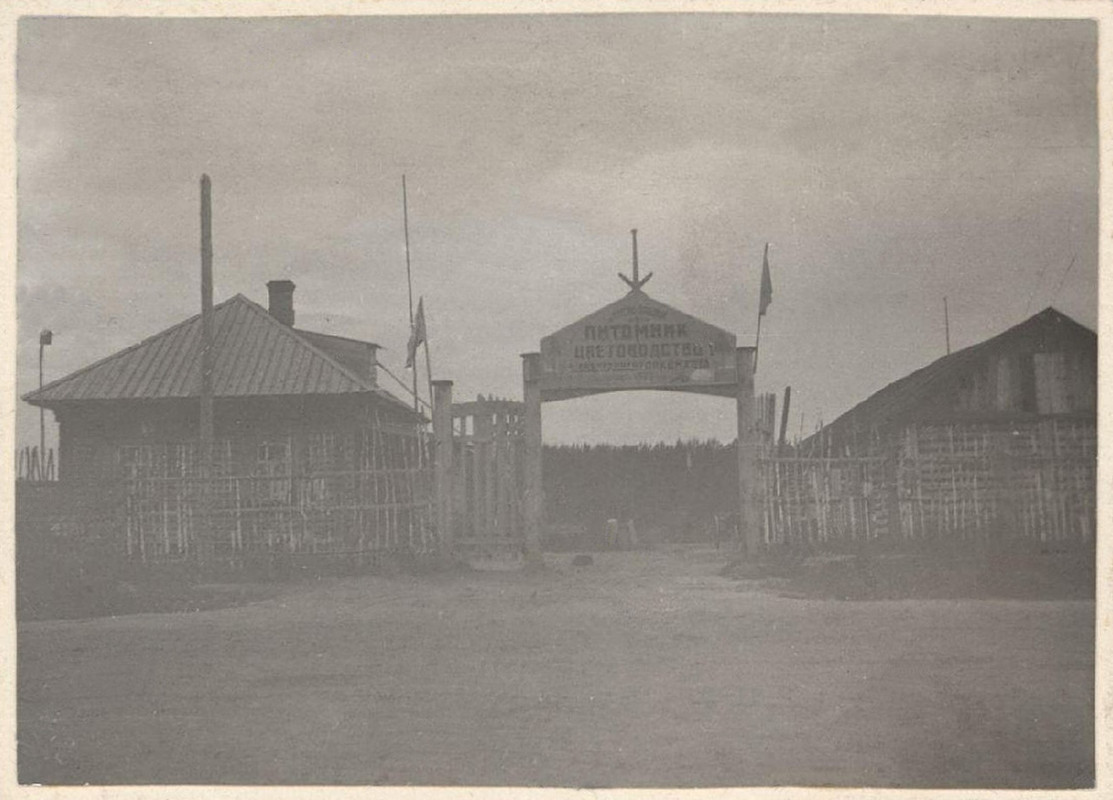 2 - НВ-1735-65 Новосибирск и его окрестности.