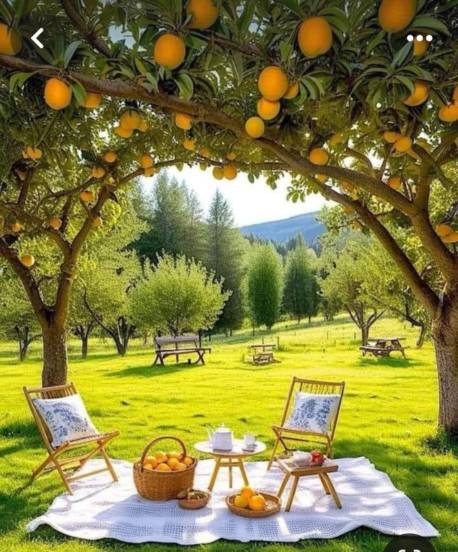 Screenshot_20240521_195444_Pinterest