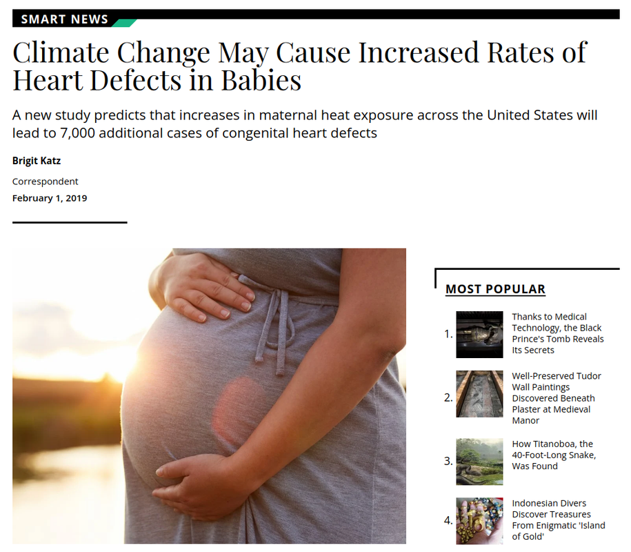 Schermata del 2021-11-17 08-57-31