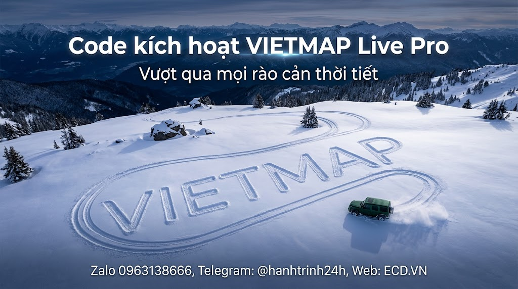 vietmap vs waze