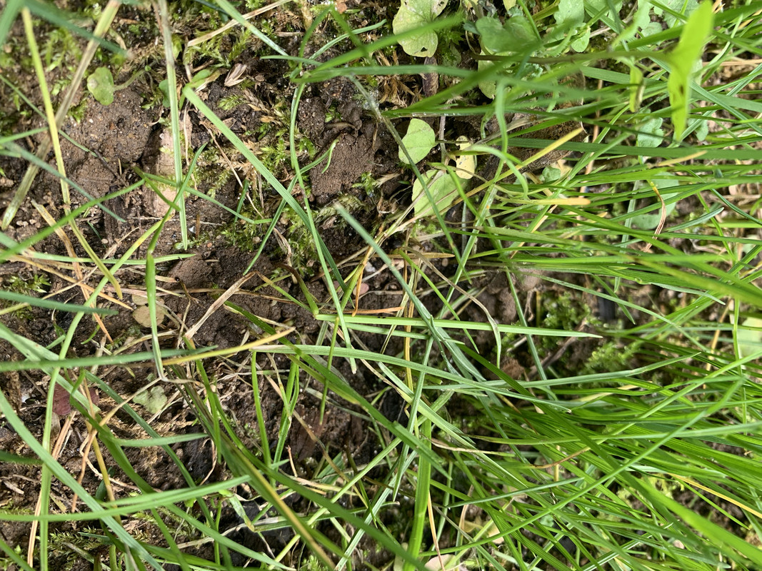 0B5353E7-4A85-4346-9784-1390A409D47A