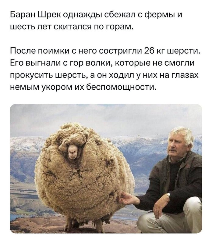 IMG_20250929_130249_111