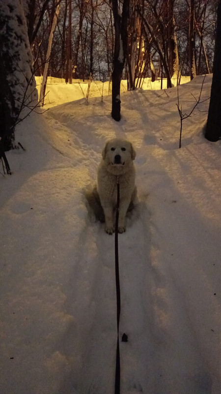 81997F26-8538-4625-9DF3-DBD665F220A1