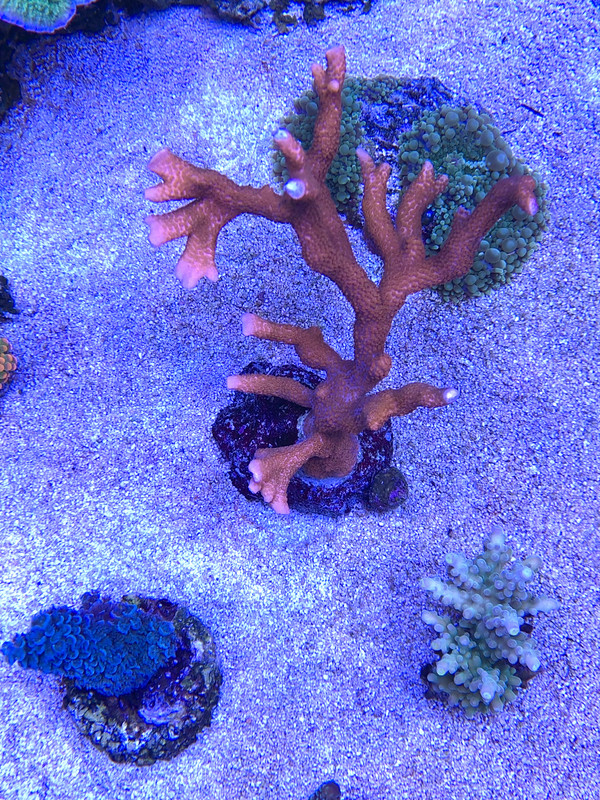 DAD7345A-9F98-4791-8AEB-7D1F75FAB8E8