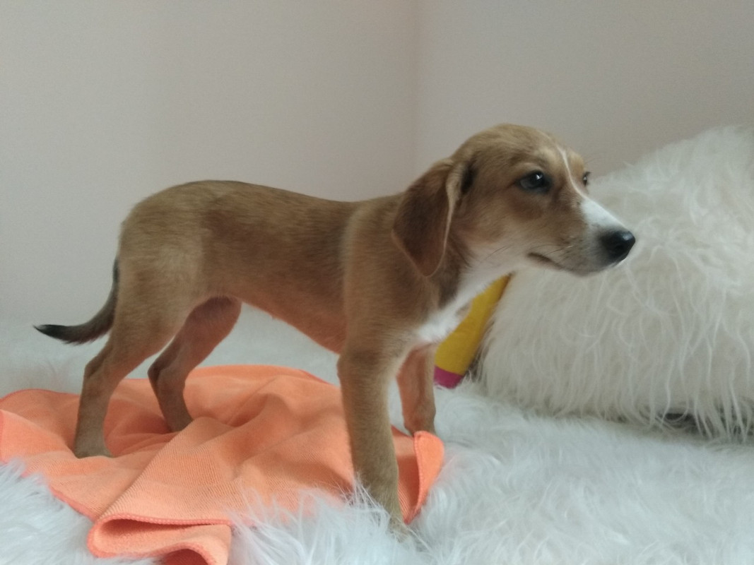 изображение_viber_2019-09-15_17-59-41