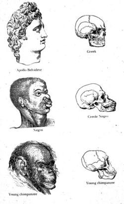 Scientific-Racism.png